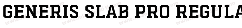 Generis Slab Pro Regular字体转换